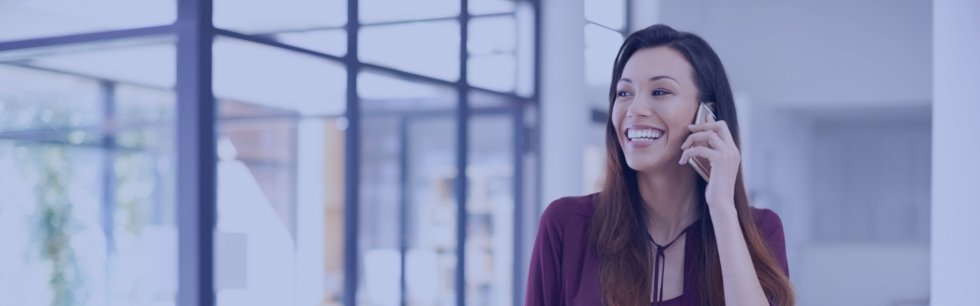 Terms and Conditions